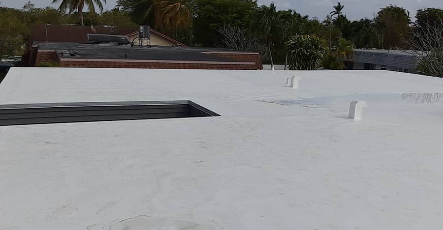 Bright white flat roof after the job, palm trees behind